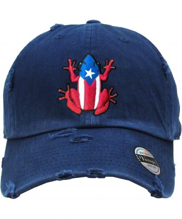 Baseball Caps Puerto Rico Snapback Hats Vintage Hats - Coqui/Vintage/Navy Blue - C618U84S06Z $33.49