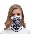 Balaclavas Unisex Seamless Rave Bandana Neck Gaiter Tube Mask Headwear- Motorcycle Face Mask for Women Men Face Scarf - CR197...