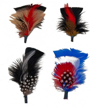Fedoras Hat Feather Packs - Assorted Men's Fedora Feathers Bold Colors Flight Feathers - Assorted (B Pack) - CQ194I5C9UQ $14.21