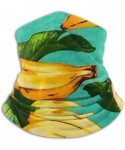 Balaclavas Neck Gaiter Headwear Face Sun Mask Magic Scarf Bandana Balaclava - Tropical Banana - CD1979N5YG0 $21.68