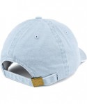 Baseball Caps WTF America Embroidered Washed Cotton Adjustable Cap - Light Blue - CS185LT0OT6 $26.74
