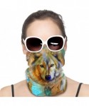 Balaclavas Balaclava Sun Protection Face Mask Bandana Face Shield Neck Warmer - Color2 - CL198C9SQ64 $17.32